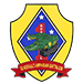 3rd Assault Amphibian Battalion